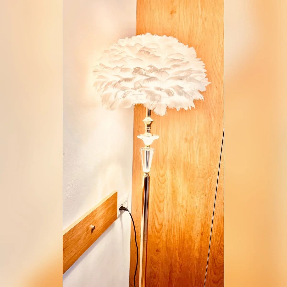 Floor Lamp with White Feather Shade 2